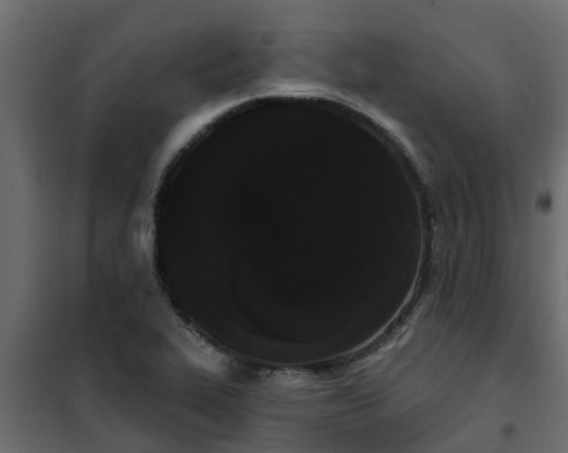 X0000102351319200808081145