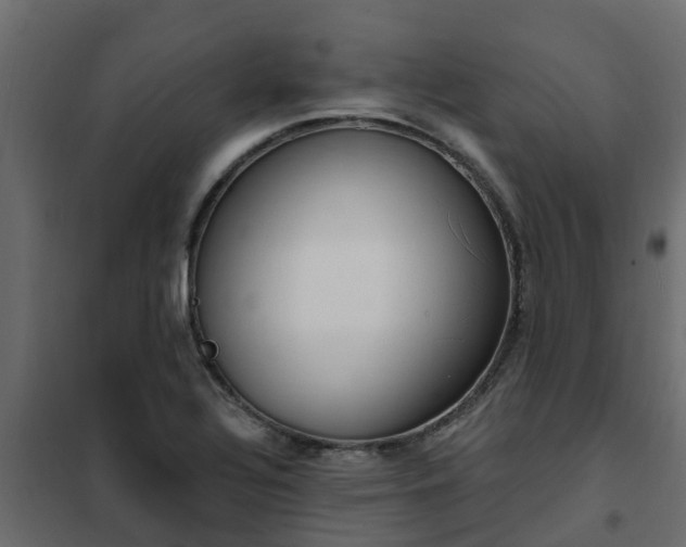 X0000102351320200808081145