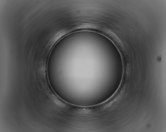 X0000102351321200808081145