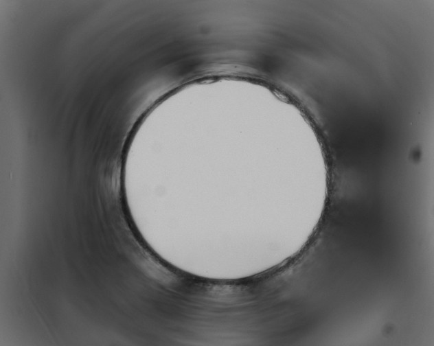 X0000102351322200808081145