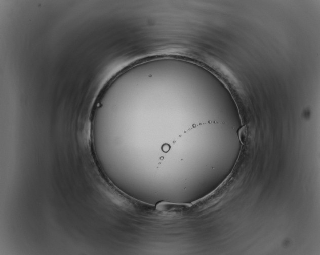 X0000102351324200808081145