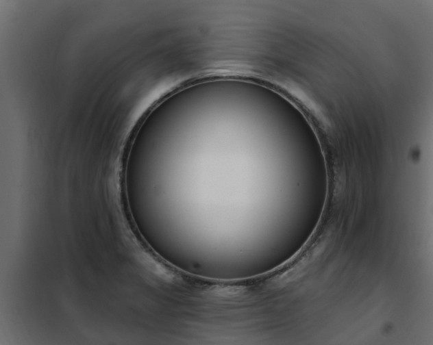 X0000102351325200808081145