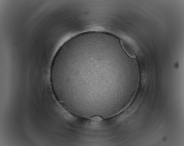 X0000102351326200808081145