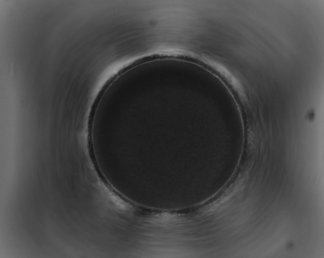 X0000102351327200808081145