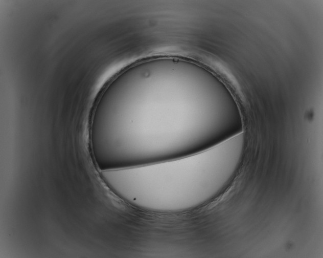 X0000102351328200808081145