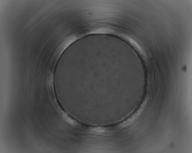 X0000102351329200808081145