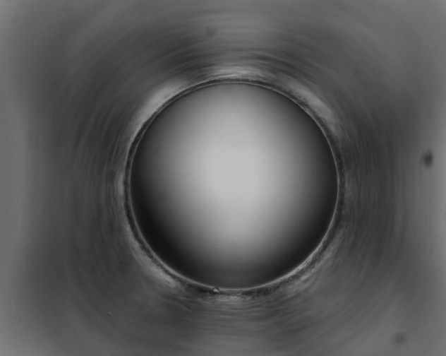 X0000102351330200808081145