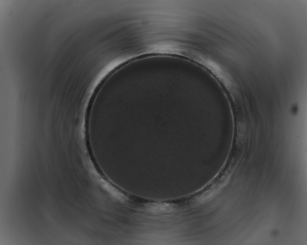 X0000102351331200808081145