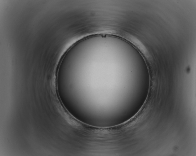 X0000102351332200808081145