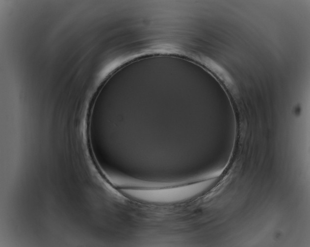 X0000102351334200808081145