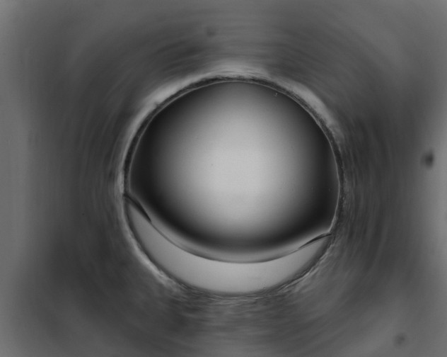 X0000102351335200808081146