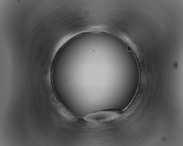 X0000102351336200808081146