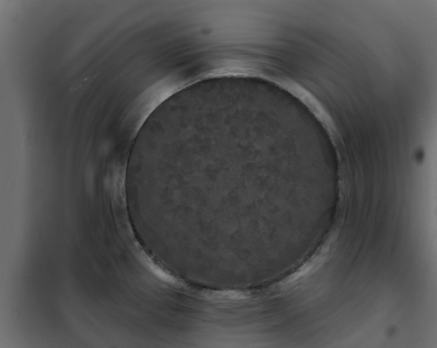 X0000102351337200808081146