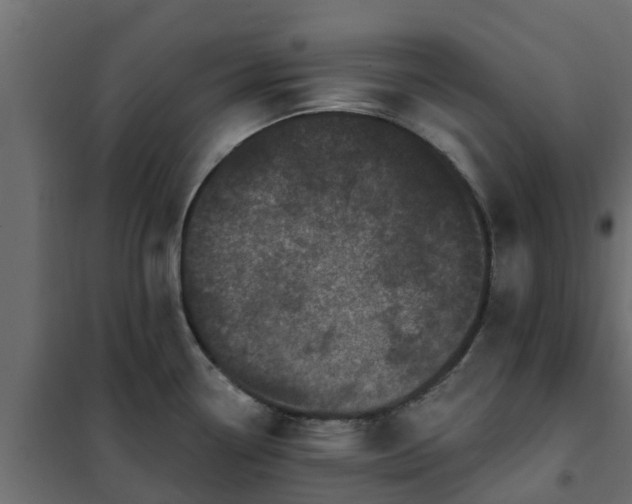 X0000102351338200808081146