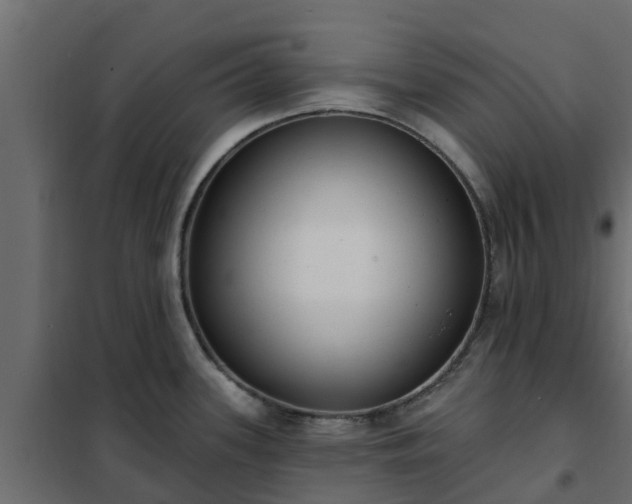 X0000102351339200808081146