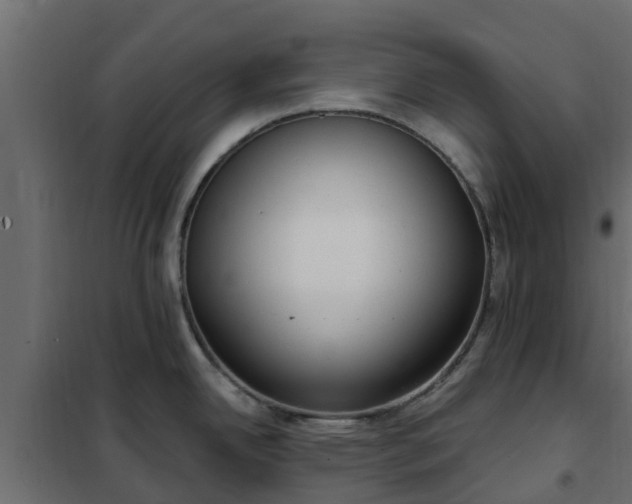 X0000102351342200808081146