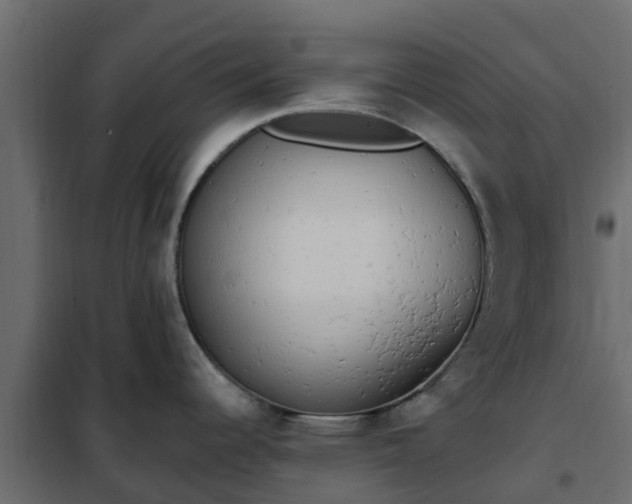 X0000102351344200808081146