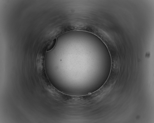 X0000102351346200808081145