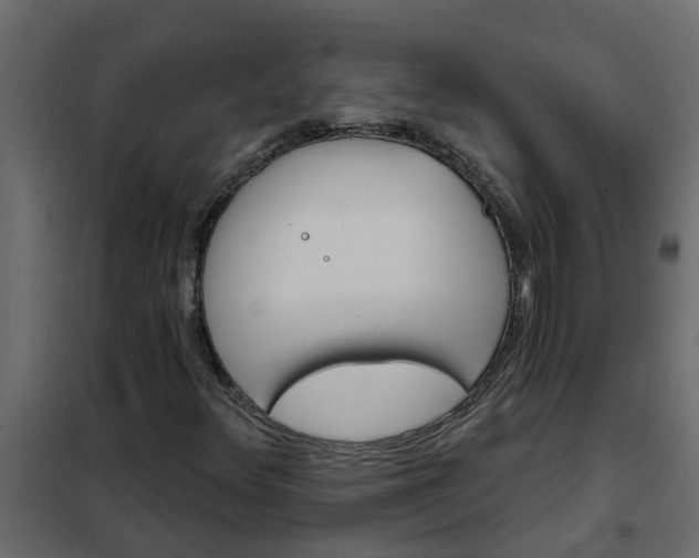 X0000102351348200808081145