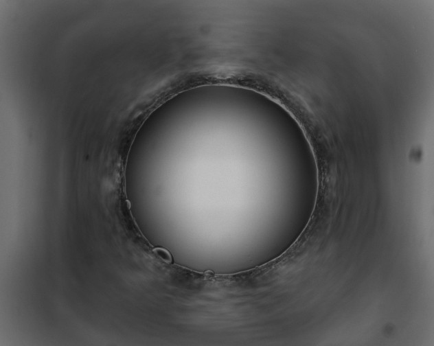 X0000102351349200808081145