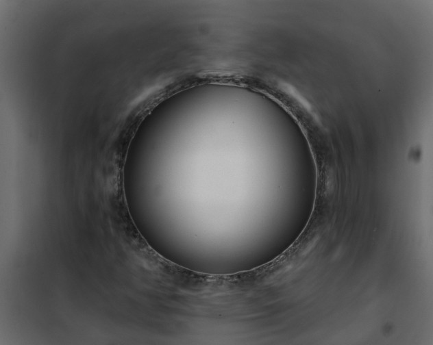 X0000102351350200808081145