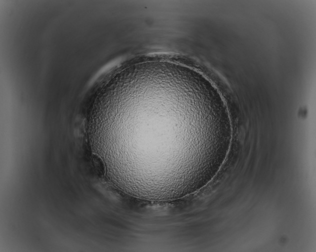 X0000102351351200808081145