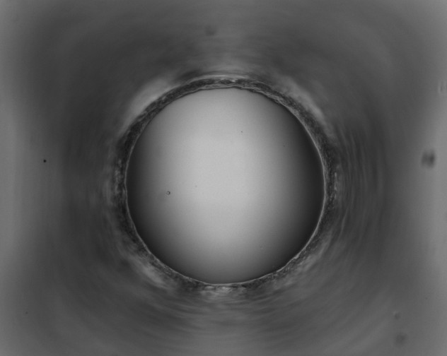 X0000102351352200808081145