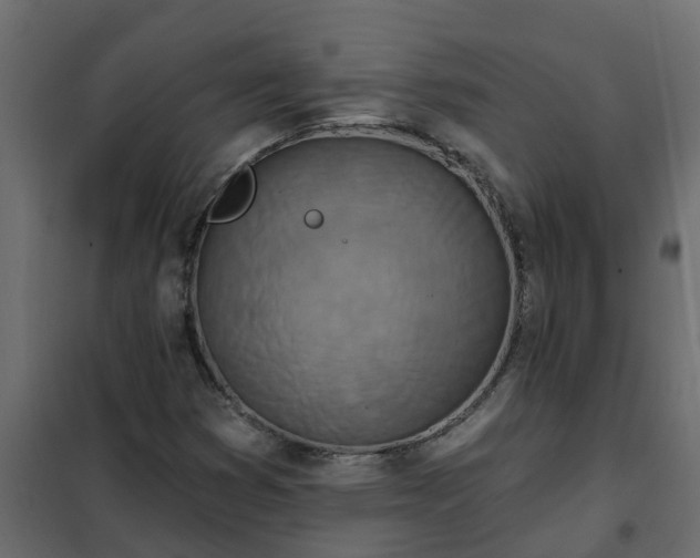 X0000102351353200808081145