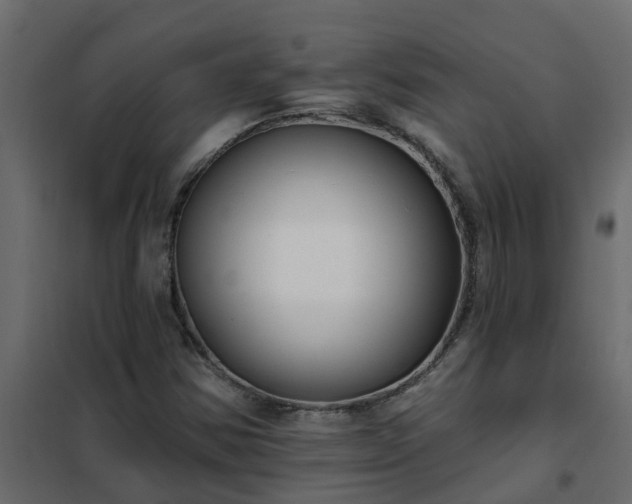 X0000102351354200808081145