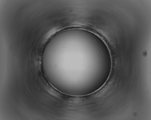 X0000102351355200808081145