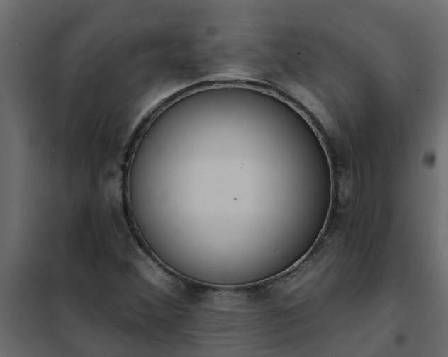 X0000102351356200808081145