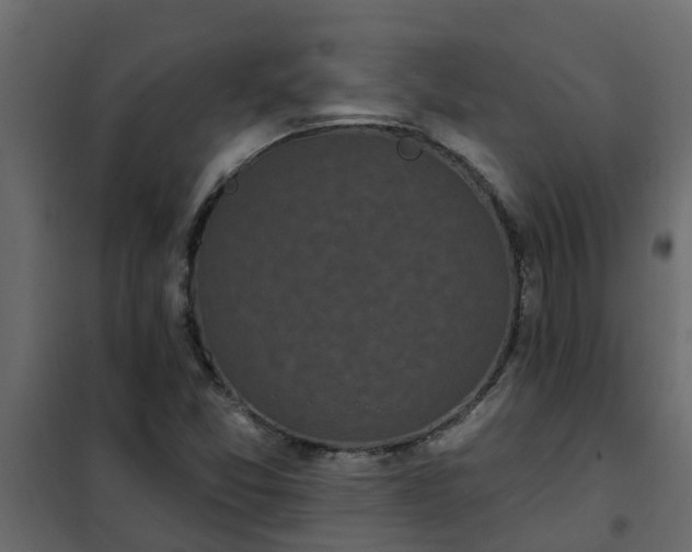 X0000102351357200808081145