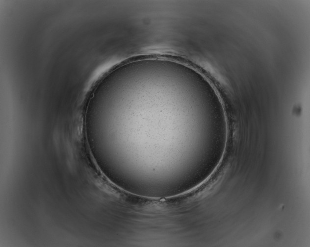 X0000102351358200808081145