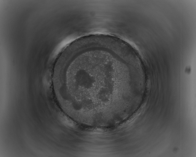 X0000102351359200808081145