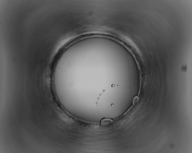 X0000102351360200808081145