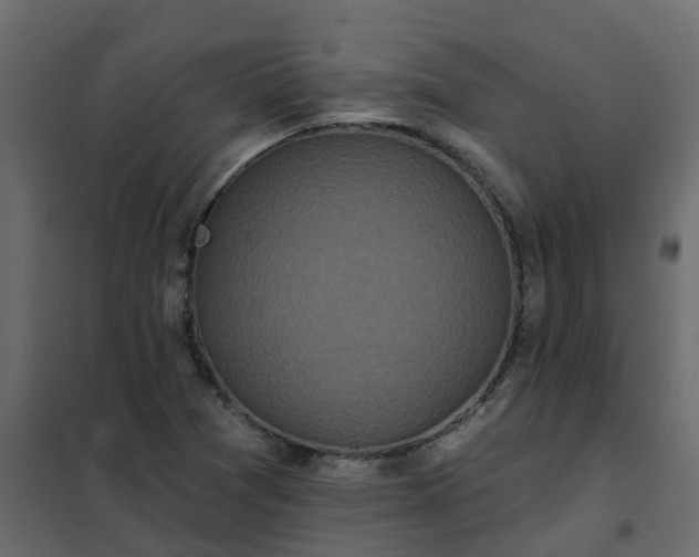 X0000102351361200808081145