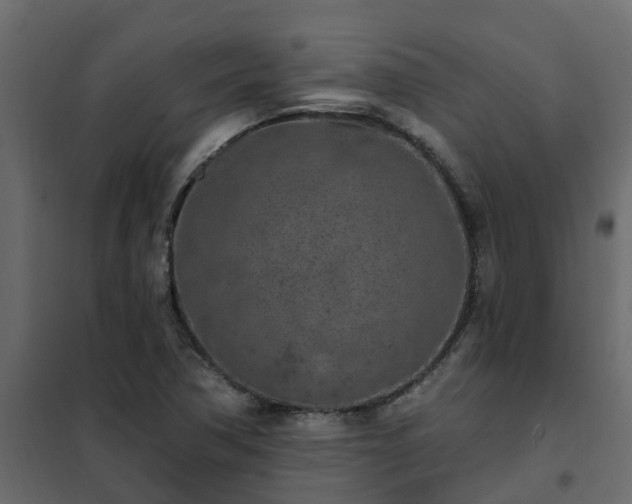 X0000102351362200808081145