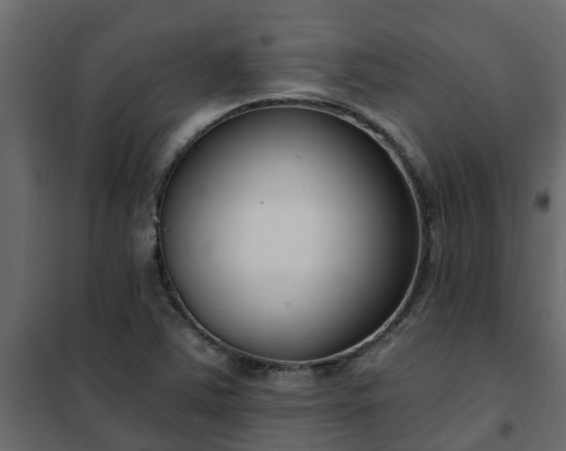 X0000102351363200808081145