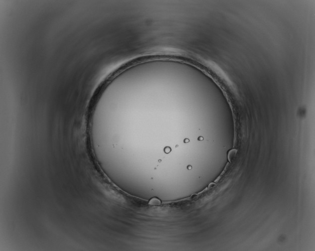 X0000102351364200808081145