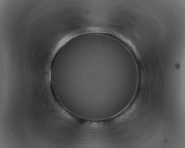 X0000102351365200808081145