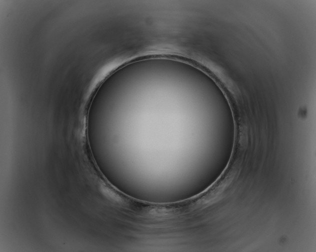 X0000102351366200808081145