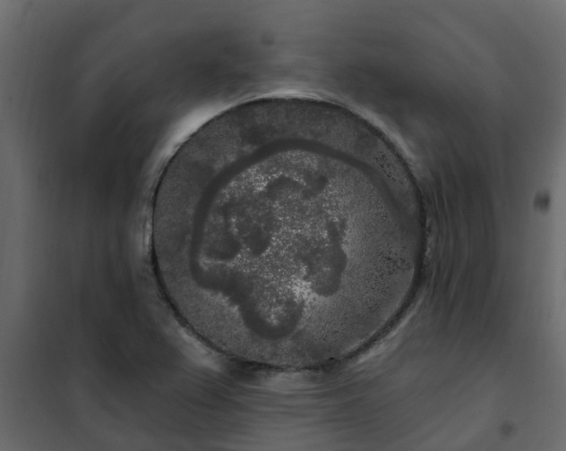 X0000102351367200808081144