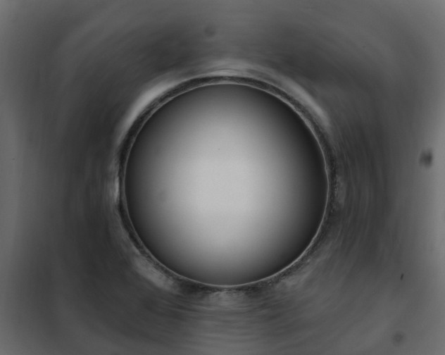 X0000102351368200808081144