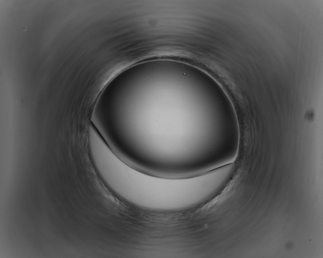 X0000102351369200808081144