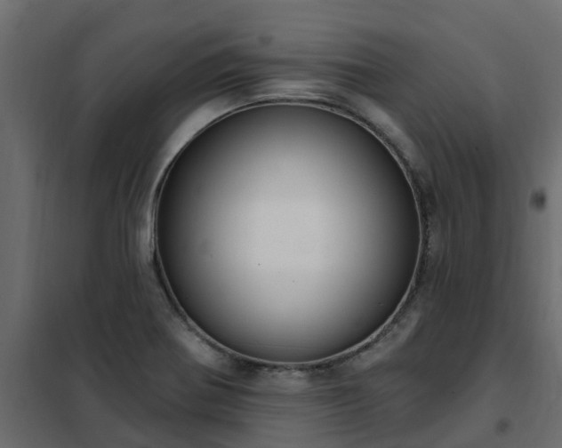 X0000102351370200808081144