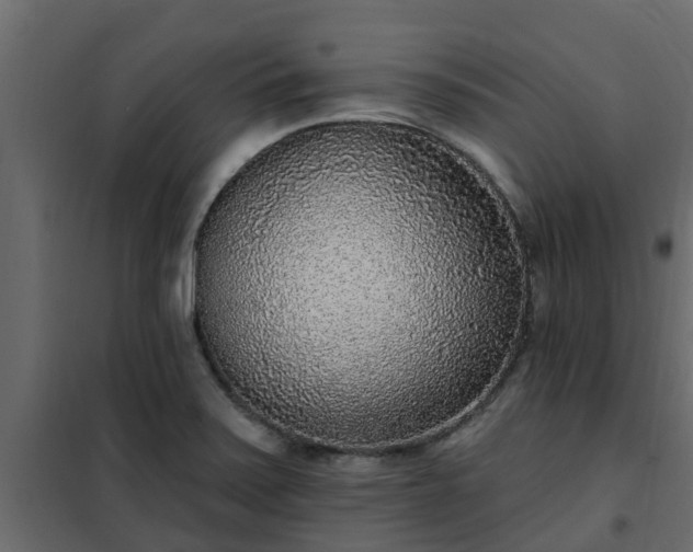 X0000102351371200808081144