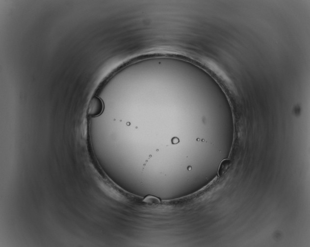 X0000102351372200808081144