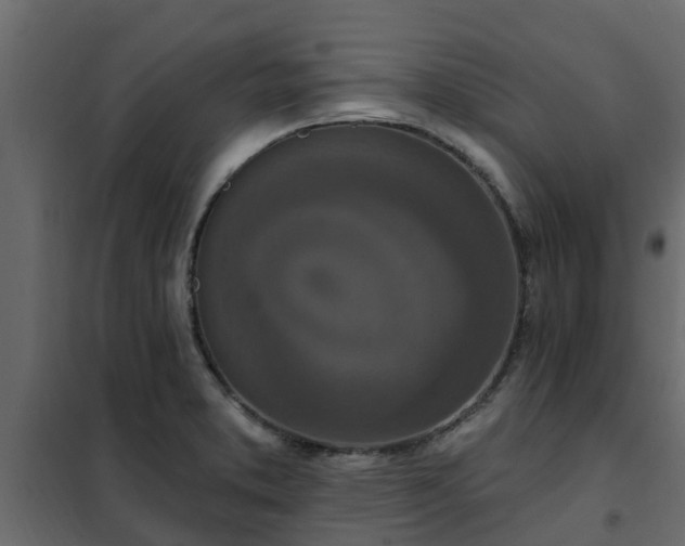 X0000102351373200808081144