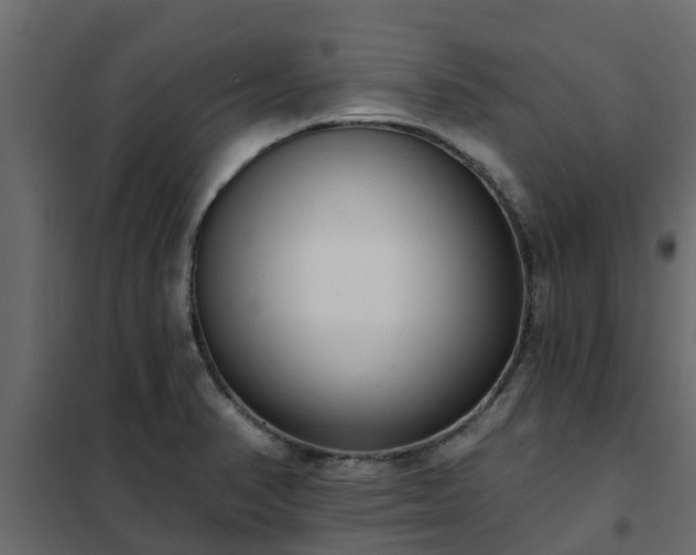 X0000102351374200808081144