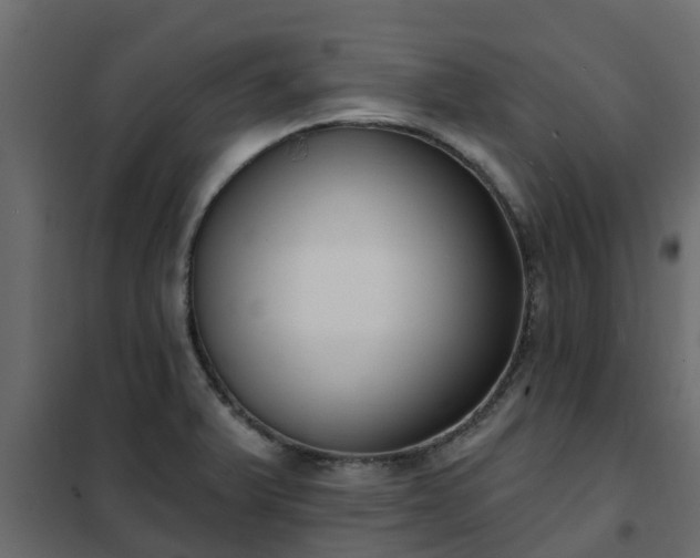 X0000102351375200808081144